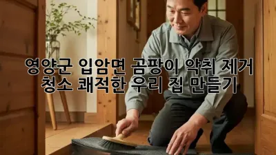 🏡 영양군 입암면 곰팡이 악취 제거 청소, 쾌적한 우리 집 만들기! ✨