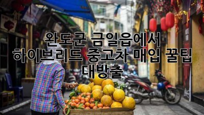 🚗 완도군 금일읍에서 하이브리드 중고차 매입?! 꿀팁 대방출! 🍯