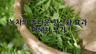 녹차🍵의 놀라운 항산화 효과✨ 파헤쳐 보기!